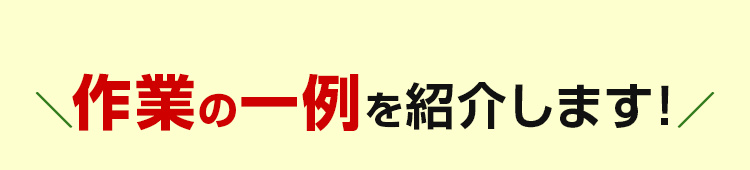 作業の一例を紹介します!