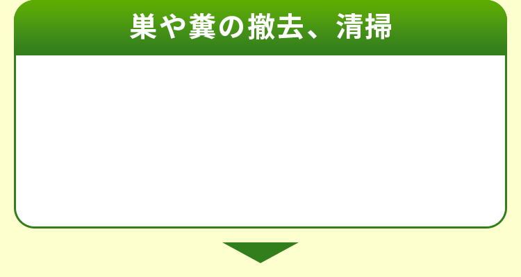巣や糞の撤去、清掃