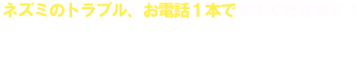 ネズミのトラブル、お電話1本で今すぐ行きます！ 0120-365-223