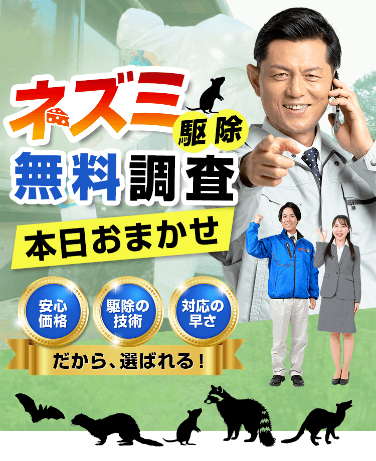日本全国対応 害獣駆除無料調査
